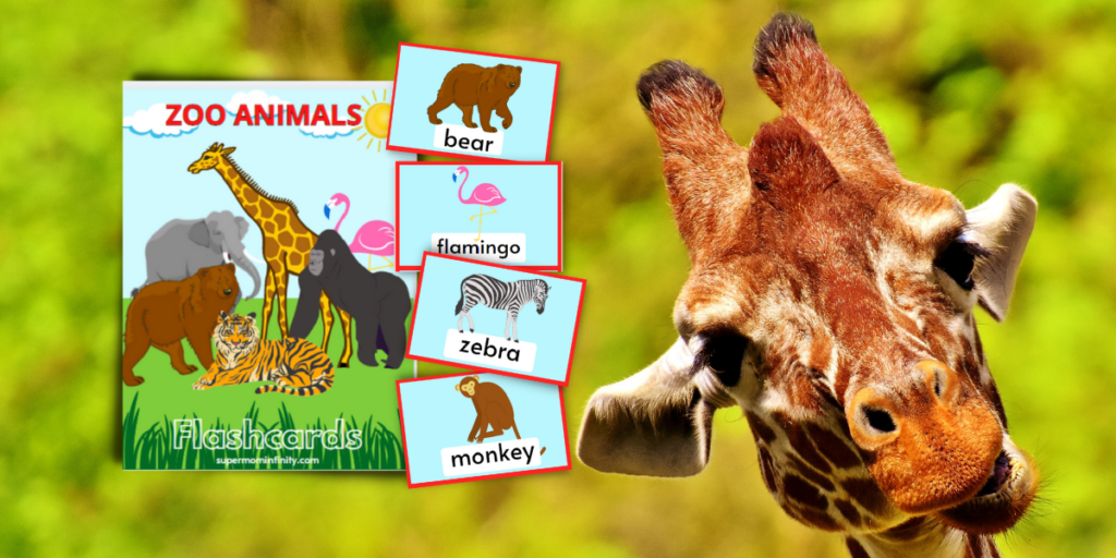 Zoo Animal Printable Flashcards for Kids