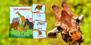 Zoo Animal Printable Flashcards for Kids